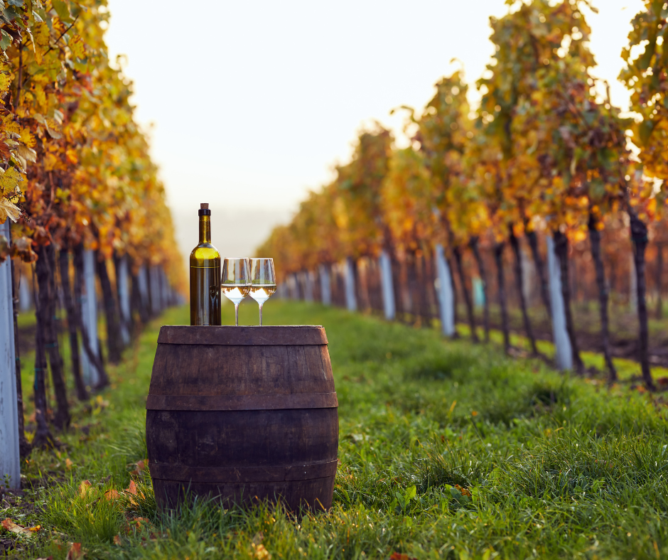 Italien für Genießer